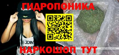 сатива Туймазы