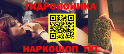 индика Тулун