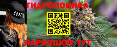 индика Тулун