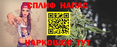 гашик Тула