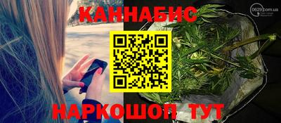 гашик Тула