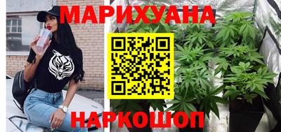 гашик Тула