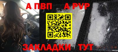 гашик Тула