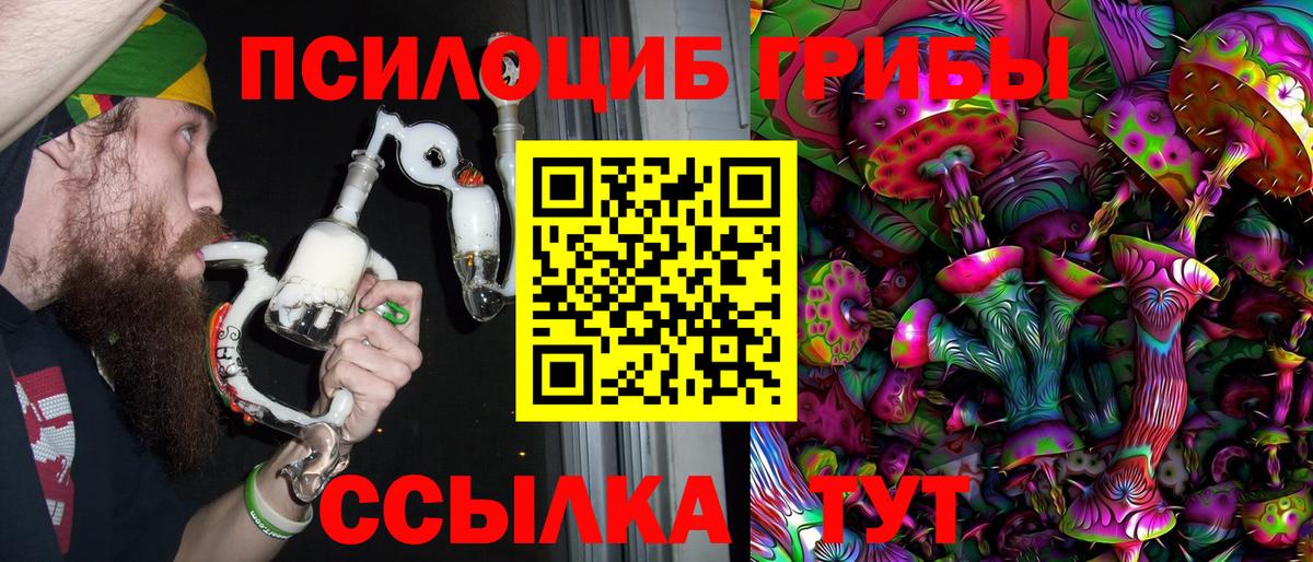 Псилоцибиновые грибы Psilocybe  Вход с VPN  Новороссийск 